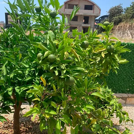 فيلة Eden Private Pool 4 Bedrooms Sea View